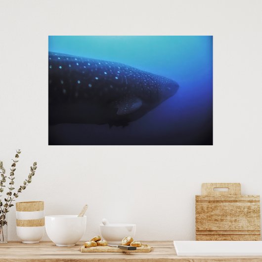 Poster Léviathan (Cuisine)