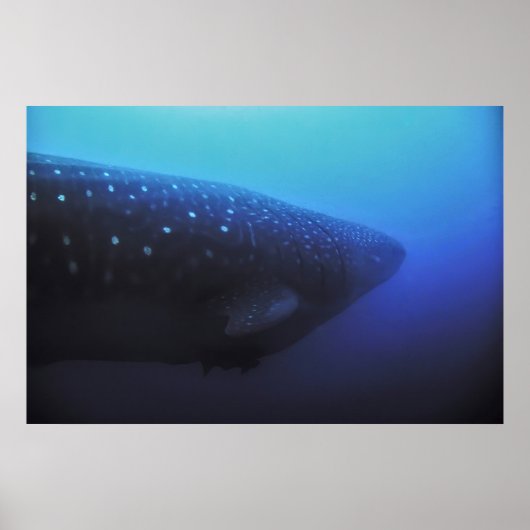 Poster Léviathan (Devant)