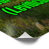 Poster Lévitique 19:18 WEBU (Coin)