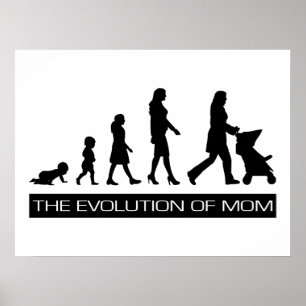 Poster L'évolution de la maman