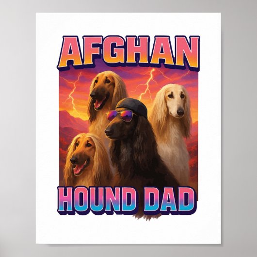 Poster Lévrier Afghan (Devant)