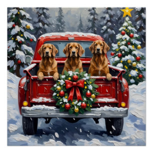 Poster Lévrier Afghan camion rouge de Noël vacances