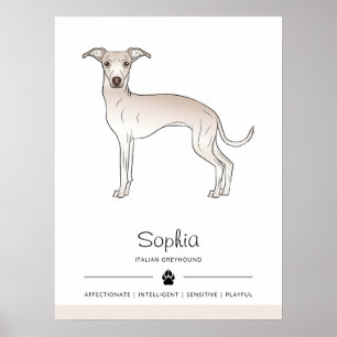Poster Lévrier Italien Crème Chien Mignon Avec Texte Pers