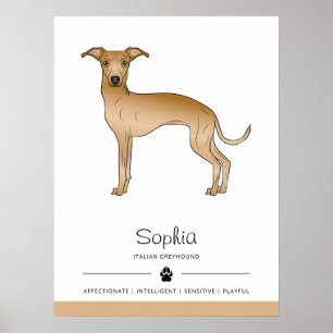 Poster Lévrier Italien Fauve Chien Mignon Avec Texte Pers