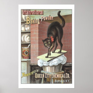 Poster Levure chimique internationale, 1885. Photo vintag