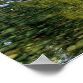 Poster Lewis River Fall (Coin)