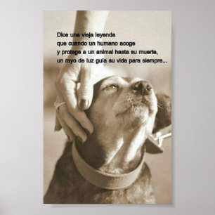 Poster Leyenda sobre adoptar