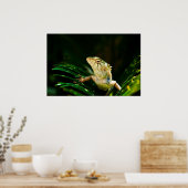 Poster Lézard commun (Cuisine)