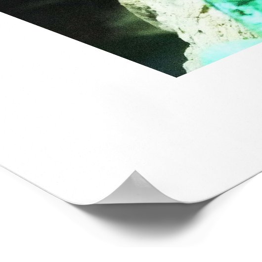 Poster Lézard de basilic vert (Coin)