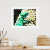 Poster Lézard de basilic vert (Cuisine)