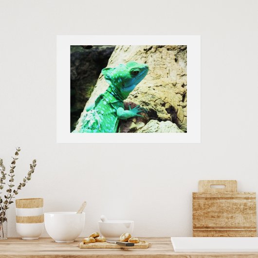 Poster Lézard de basilic vert (Cuisine)