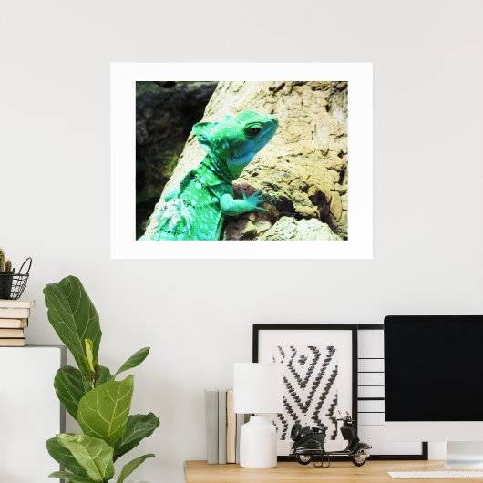 Poster Lézard de basilic vert (Bureau à domicile)