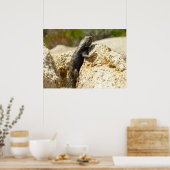 Poster Lézard épineux à dos jaune à Joshua Tree (Cuisine)