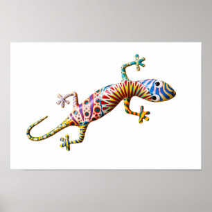 Poster Lézard gekko coloré