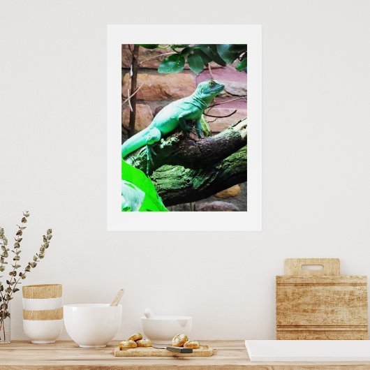 Poster Lézard vert (Cuisine)