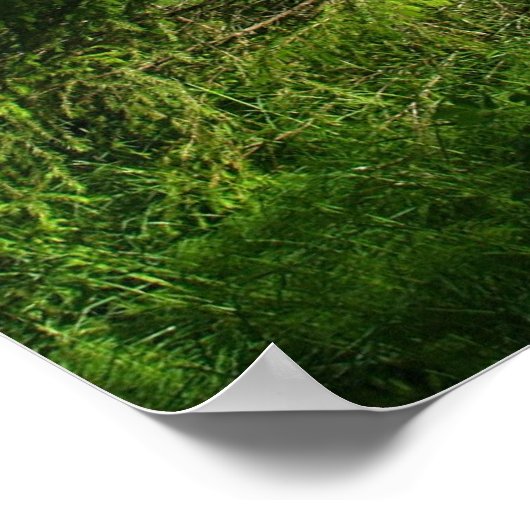 Poster L'harmonie apporte la paix (Coin)