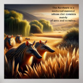 Poster L'harmonie d'Aardvark dans la nature (Devant)