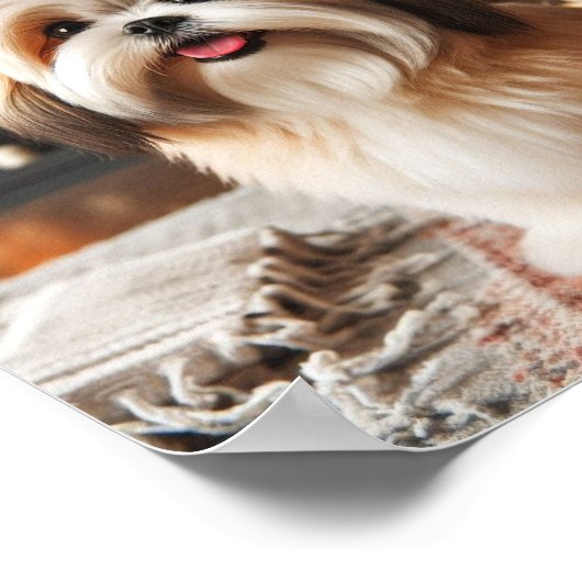 Poster Lhasa Apso (Coin)