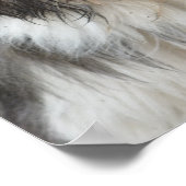 Poster Lhasa Apso (Coin)