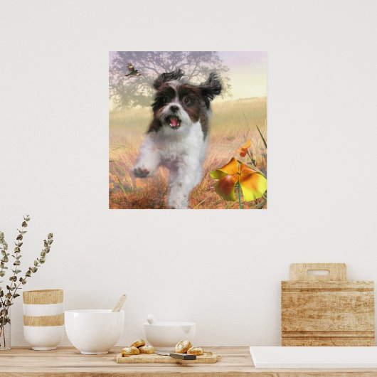 Poster Lhasa Apso Chien HIGH TAIL HOME (Cuisine)
