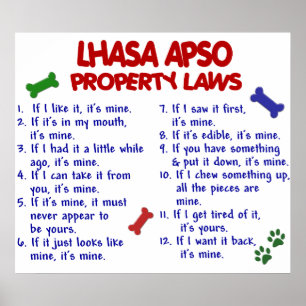 POSTER LHASA APSO PL2
