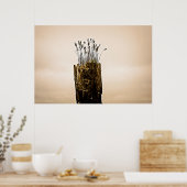 Poster l'herbe (Cuisine)