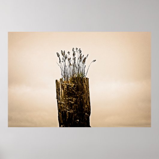 Poster l'herbe (Devant)