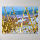 Poster L'herbe des dunes du lac Michigan (Devant)