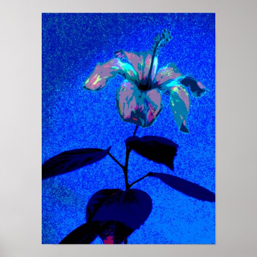 Poster L'Hibiscus Iridescendant Fleur Bleu rose (Devant)