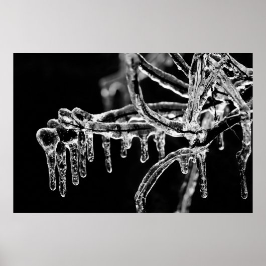 Poster l'hiver (Devant)