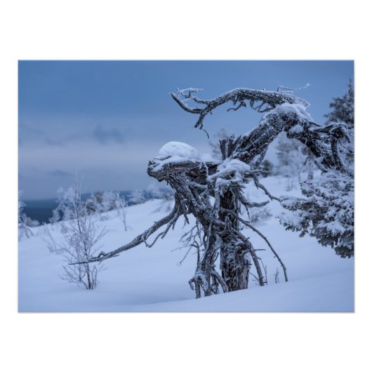 Poster L'hiver alien en bois (Devant)