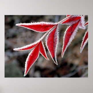 Poster L'hiver est proche