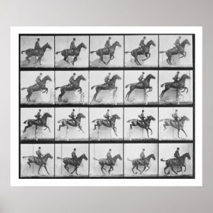 Poster L'homme et le cheval sautant une barrière,