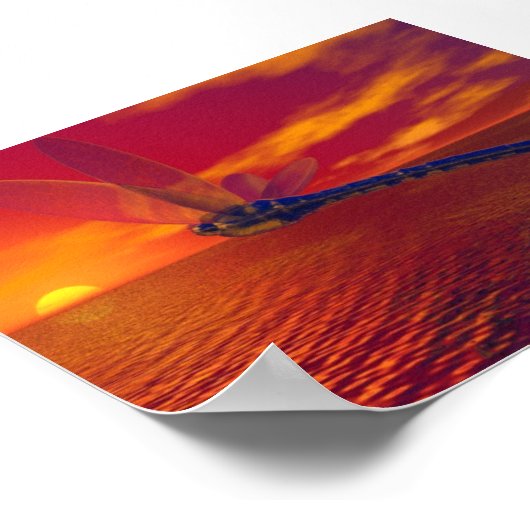 Poster libellule (Coin)