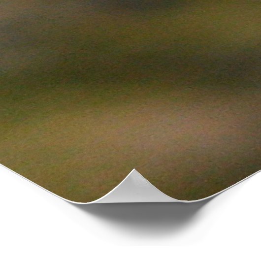 Poster libellule (Coin)