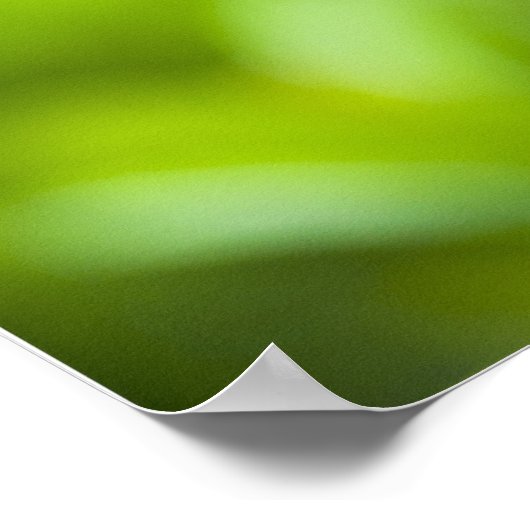 Poster libellule (Coin)