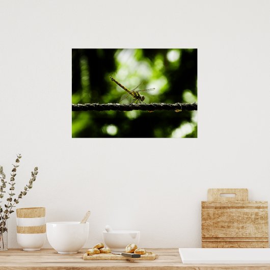 Poster libellule (Cuisine)