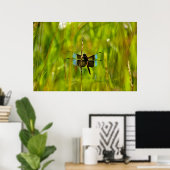 Poster libellule (Bureau à domicile)