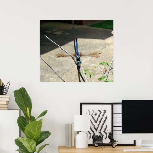 Poster libellule (Bureau à domicile)