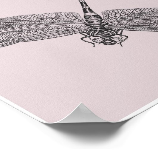 Poster libellule (Coin)