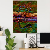 Poster libellule arc-en-ciel, libellule Turquoise et viol (Bureau à domicile)