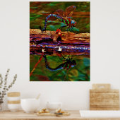 Poster libellule arc-en-ciel, libellule Turquoise et viol (Cuisine)