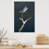 Poster Libellule au repos (Cuisine)