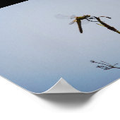 Poster Libellule avec canne (Coin)