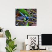 Poster - libellule bleue (Bureau à domicile)