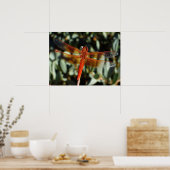 Poster libellule orange avec ailes ouvertes (Cuisine)