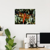 Poster libellule orange avec ailes ouvertes (Bureau à domicile)