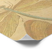 Poster Libellule Vintage Antique Classique Nature (Coin)