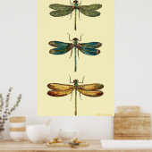 Poster libellules (Cuisine)