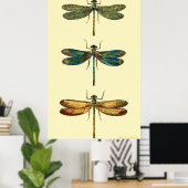Poster libellules (Bureau à domicile)